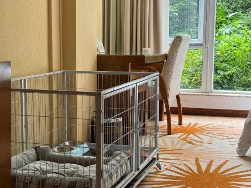 Hongzhushan Hotel Mount Emei Leshan Εξωτερικό φωτογραφία